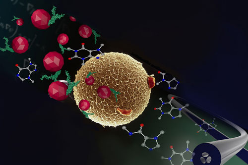 Molecular biology