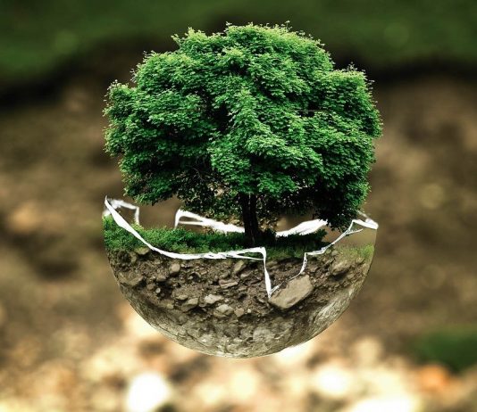 البيئة ومفهومها وعلاقتها بالإنسان مفهوم البيئة