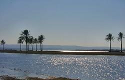 تقارير دولية: جفاف نهري دجلة والفرات بحلول 2040