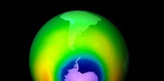 الامم المتحدة: حماية التربة يحد من انبعاثات الكربون بتكلفة أقل