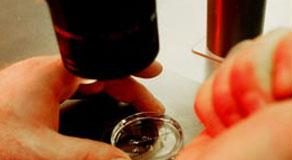 لقاح “واعد” لعلاج حالات متقدمة من سرطان البروستات