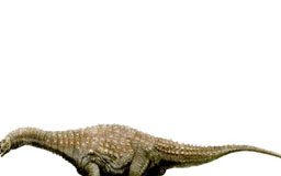 أنواع جديدة من الديناصورات بأستراليا