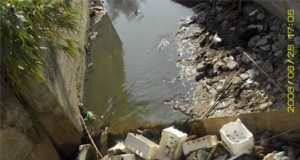 مرايا 86 : أغنية للبيئة بصوت ياسر العظمة