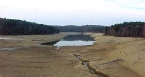 تغير المناخ سيكلفنا الغالي والنفيس