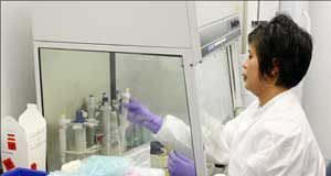 اليابان: تجارب لانتاج دواء مضاد لانفلونزا الخنازير