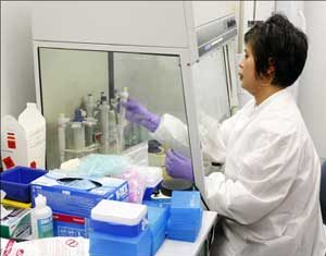 اليابان: تجارب لانتاج دواء مضاد لانفلونزا الخنازير