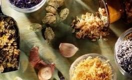 حتى أدوية الأعشاب تحتاج لوقفة قبل أي جراحة