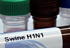 السعودية تتعهد باختبار لقاح أنفلونزا الخنازير قبل استخدامه