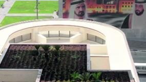 دبي تطبق نظام الأسطح الخضراء اختيارياً