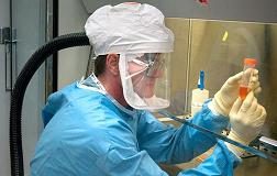 جلاكسو تتبرع بخمسين مليون جرعة من لقاح انفلونزا الخنازير لمنظمة الصحة