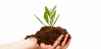 الأسمدة العضوية واستخداماتها