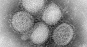 مقاومة H1N1 لـ”تاميفلو”تتزايد وجهود لإبقاء الأمر “تحت السيطرة”