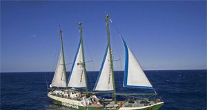 غرينبيس تقدم من المغرب رؤية جديدة لحماية البحر الأبيض المتوسط