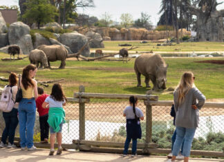 حدائق الحيوان التقليدية هل بقي لوجودها شرعية؟