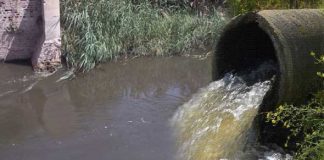 بيئة مصر تعتزم اصدار تشريعات مشددة لمواجهة تلوث النيل