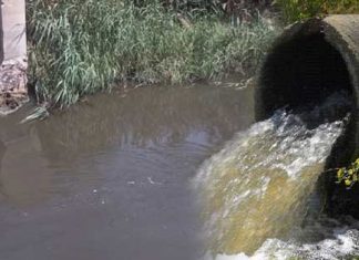 بيئة مصر تعتزم اصدار تشريعات مشددة لمواجهة تلوث النيل