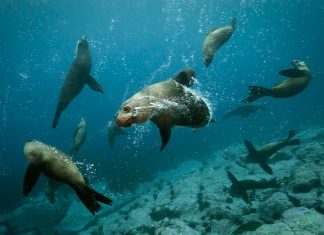 اللائحة الخضراء تروّج لمناطق تحتاج الحماية