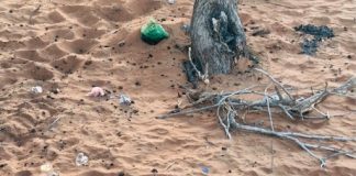 البر . . جمالية مُهدّدة بالانقراض