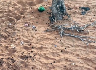 البر . . جمالية مُهدّدة بالانقراض