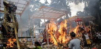 أنصار حماية البيئة يطالبون بالحد من انبعاثات الزئبق