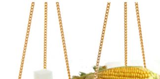 سكر الذرة أكثر خطورة من سكر المائدة