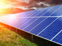 تحويل “قشر الجمبري” لخلايا شمسية تولد الكهرباء