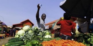 الباعة الجائلون مفتاح سلامة الغذاء في افريقيا