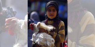 وفاة شخصين بإنفلونزا الطيور في مصر