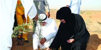 «بيئة الشارقة» تنظم حملة تشجير