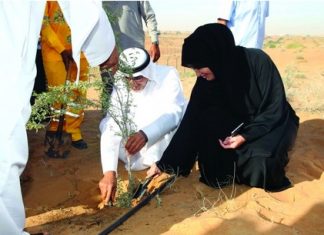 «بيئة الشارقة» تنظم حملة تشجير