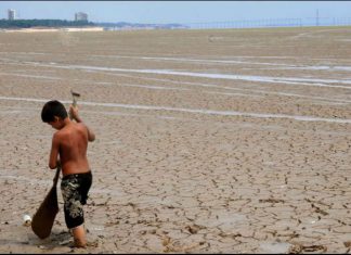 اليابان تتوقع عودة ظاهرة النينيو بحلول الصيف