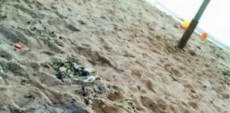 الأردن: شاطىء العقبة السداسي غير نظيف