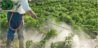 “البيئة والمياه” تحذر من استخدام المبيدات المحظورة