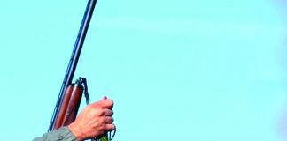 لبنان مقبرة الطيور المهاجرة