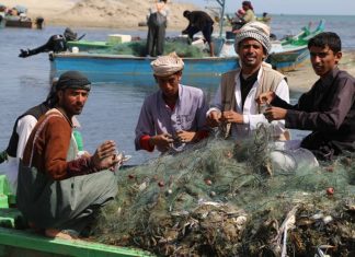 مصر: اجتماع تحضيري لمناقشة مخاطر الصيد الجائر