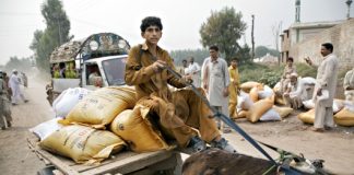 استخدام الأسمدة سيتجاوز 200 مليون طن عام 2018