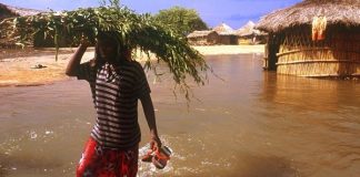 الكوليرا تقتل 19 شخصا في موزامبيق