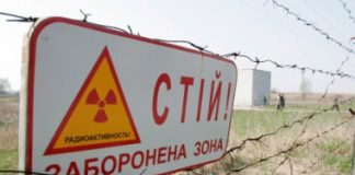 خبيرة مصرية: مصر مليئة بمصادر الطاقة النظيفة، والطاقة النووية مرفوضة