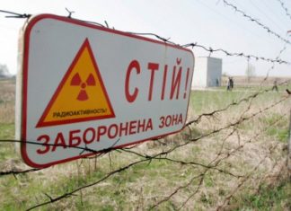 خبيرة مصرية: مصر مليئة بمصادر الطاقة النظيفة، والطاقة النووية مرفوضة