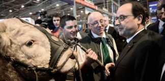 اختتام معرض باريس الدولي للزراعة