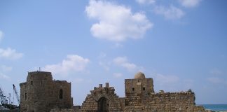 لبنان ينظم مؤتمر الدعم الأخضر للشركات الصديقة للبيئة