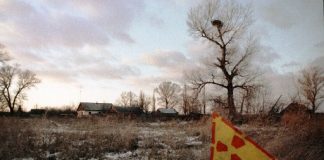 جرينبيس: سكان يأكلون أغذية ملوثة بإشعاعات تشرنوبيل منذ 30 عاما