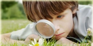 علمونا .. من خلال بيئتنا