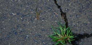 ضرورة التأقلم