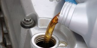 الاسكندرية تحول بقايا الطعام إلى أسمدة ووقود