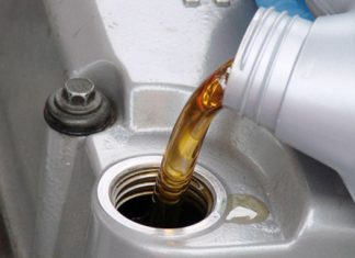 الاسكندرية تحول بقايا الطعام إلى أسمدة ووقود