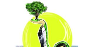 الامارات: تغريدات خضراء في يوم البيئة الوطني