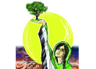 الامارات: تغريدات خضراء في يوم البيئة الوطني