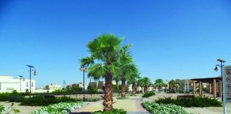 14.1 ألف شجرة جديدة تضيف جمالاً على شوارع دبي