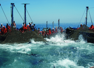 استباحة البحر